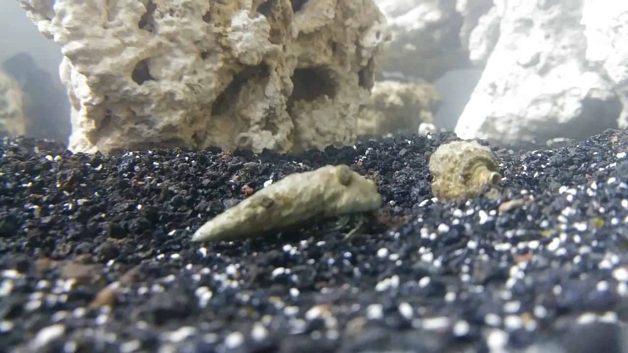 20180918_090231.jpg
