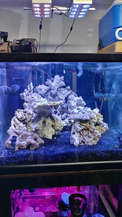 20180923_113036_HDR.jpg