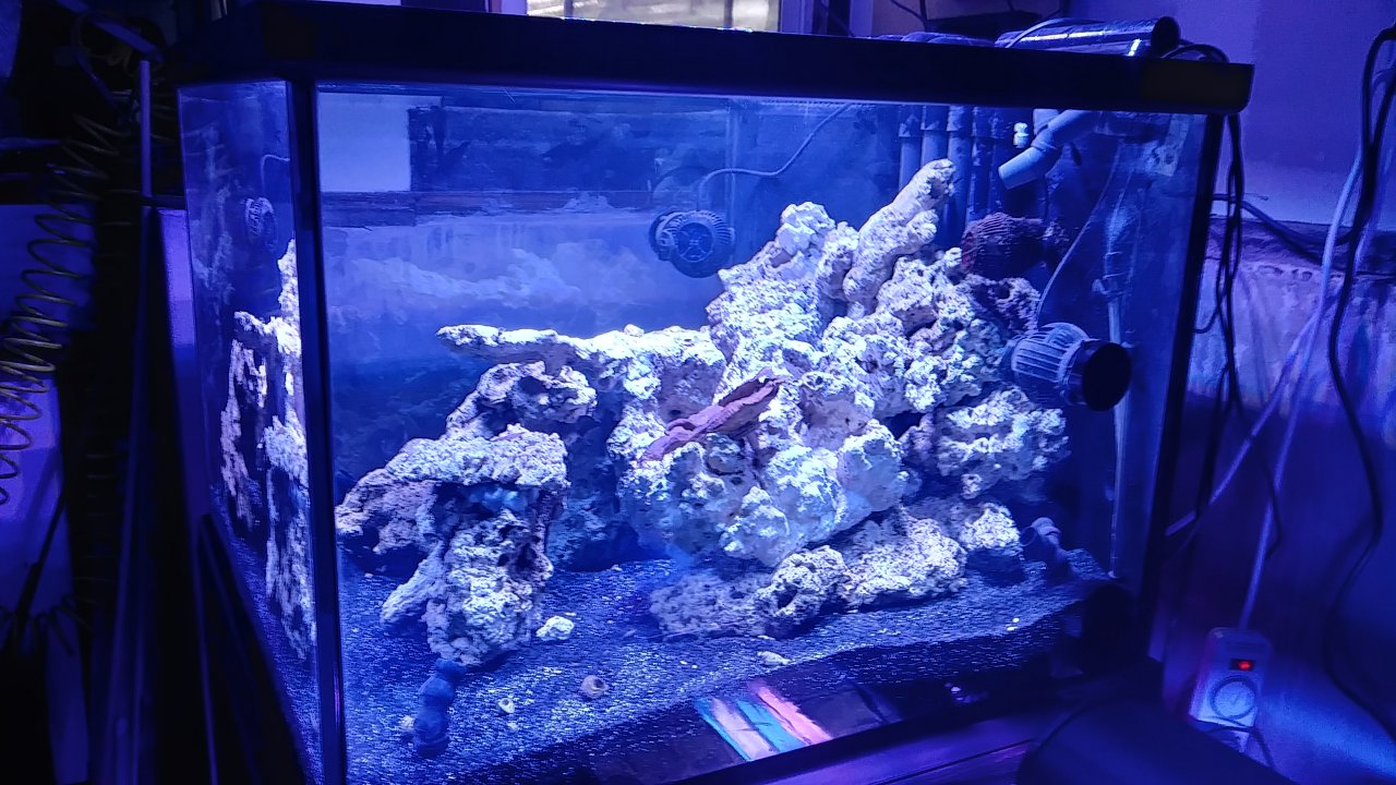 20180923_155022_HDR.jpg
