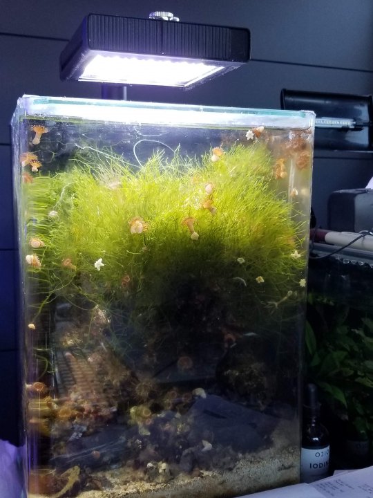 20181030_113055.jpg