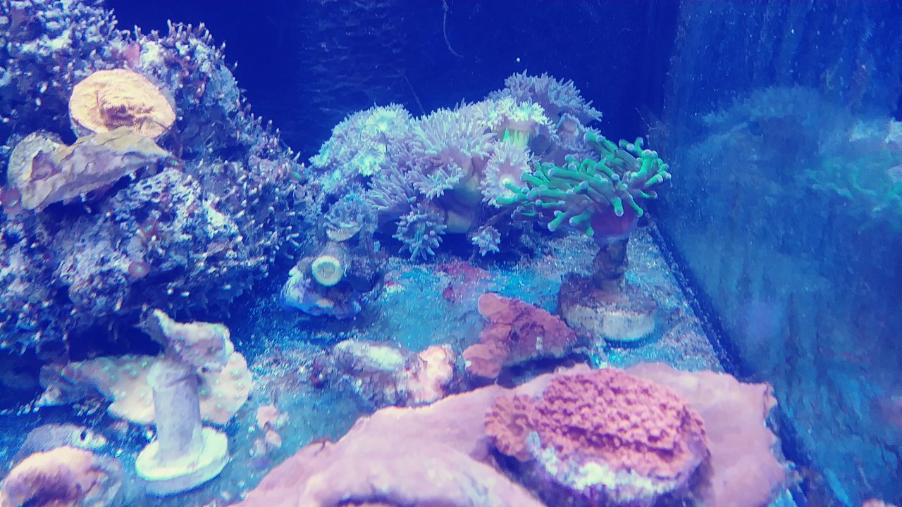 20181130_162925_Film1.jpg