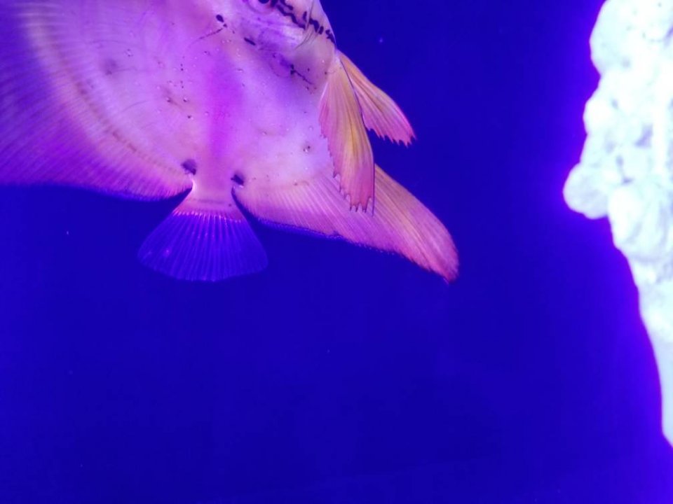 20181213_185323.jpeg