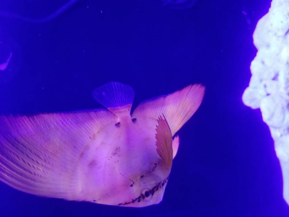 20181213_185325.jpeg