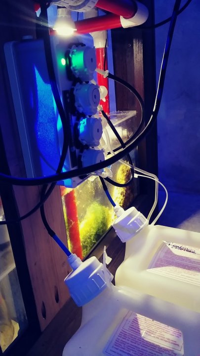 20181223_180820_Film1.jpg