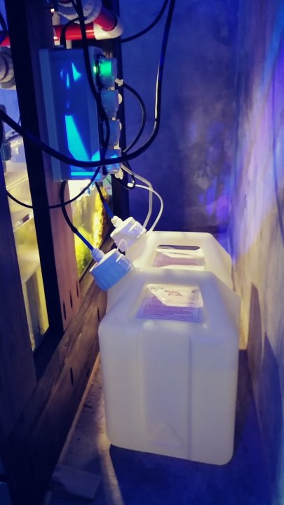 20181223_180826_Film1.jpg