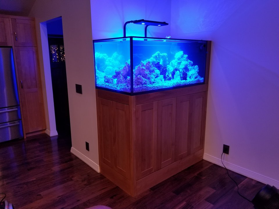 20181224_182921.jpg