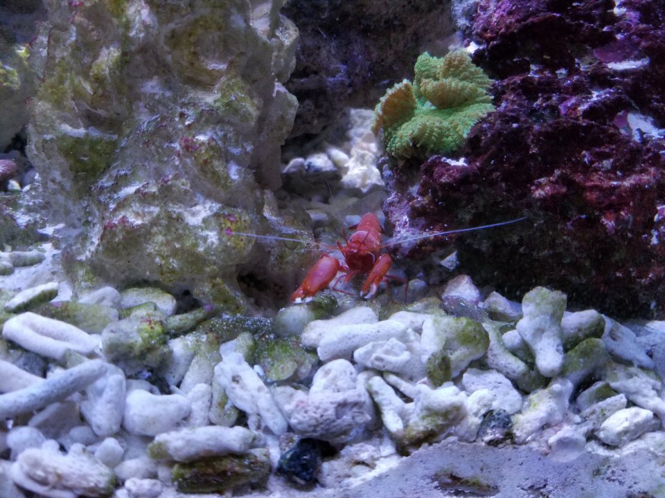 20190120_102701.jpg
