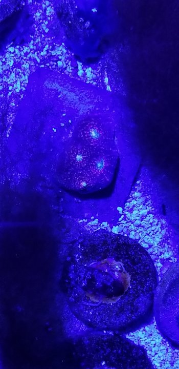 20190427_220706.jpg
