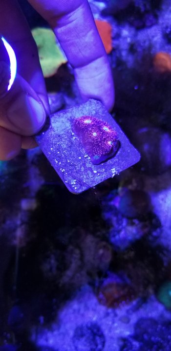 20190504_135130.jpg
