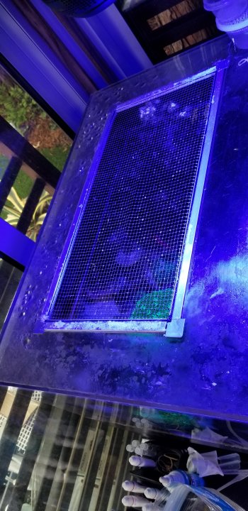 20190514_174623.jpg