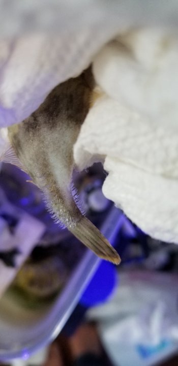 20190622_162542.jpg