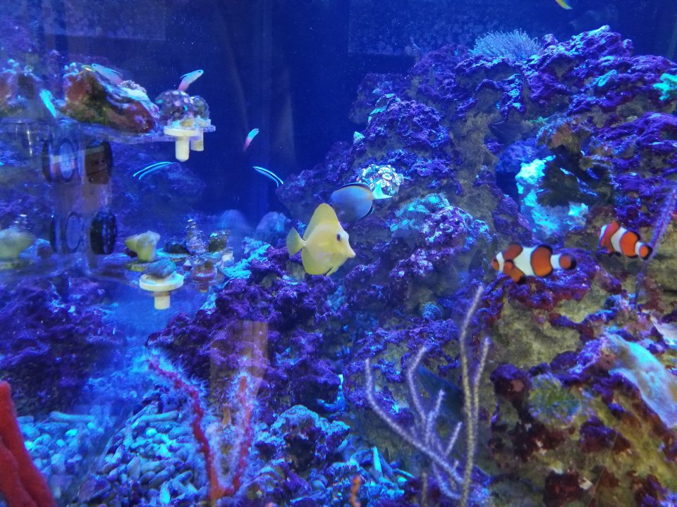 20190701_083834.jpg