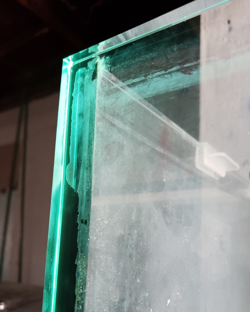20190731_175153-01.jpeg