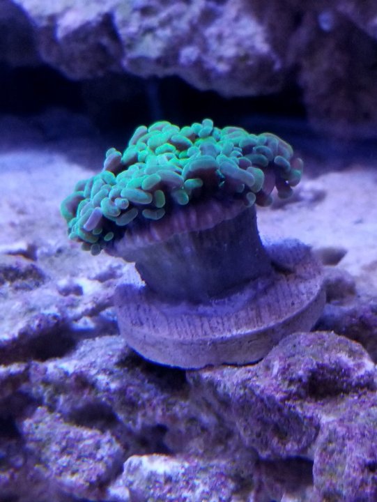 20190917_141022.jpg
