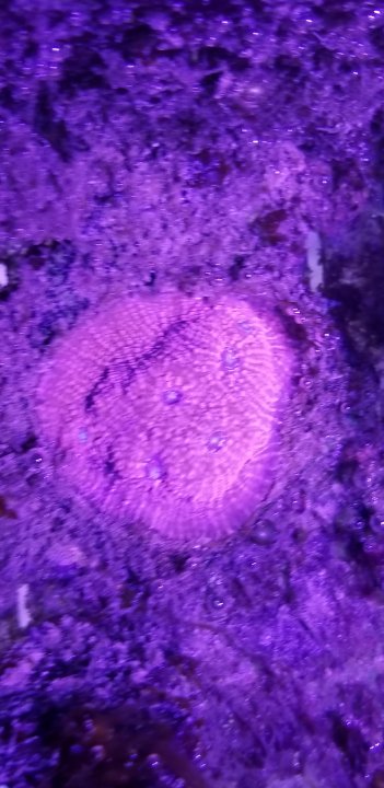 20191005_184049.jpg