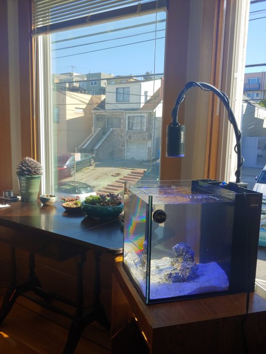 20191020_121406_HDR.jpg