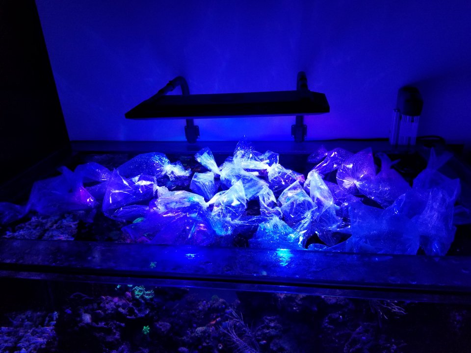 20191120_162943.jpg