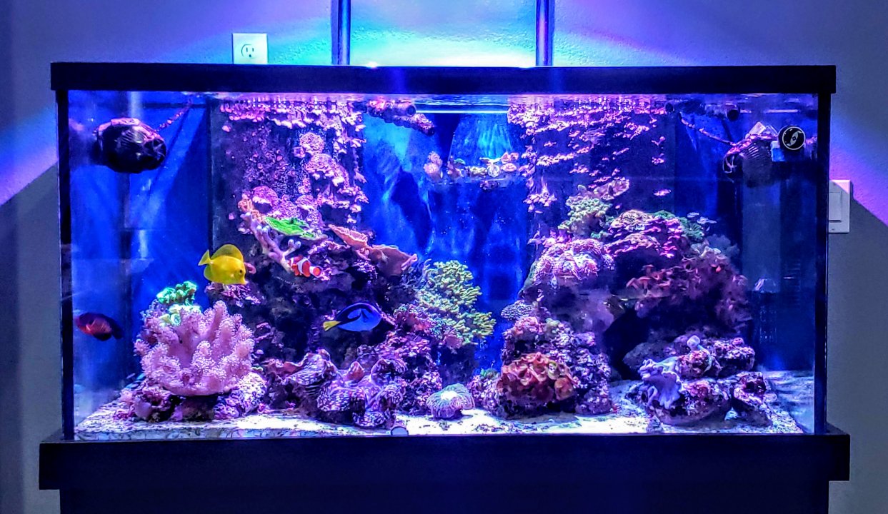 20191121_191347.jpg