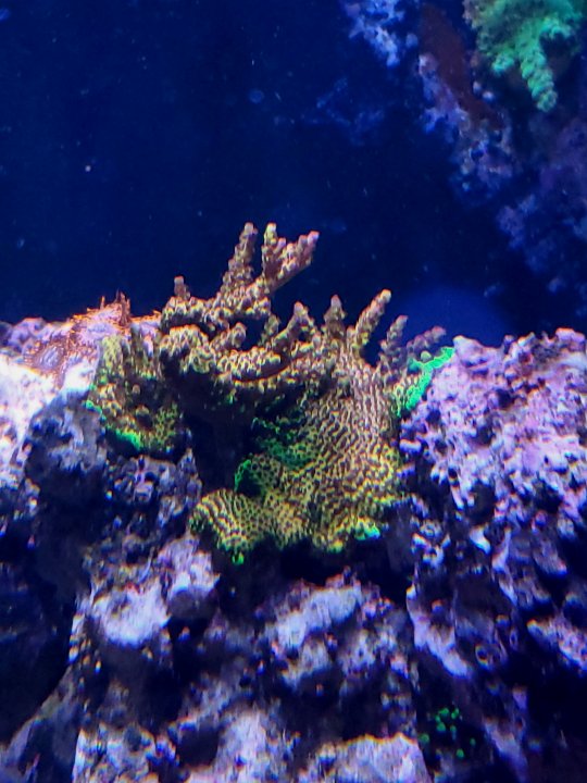 20191130_163732.jpg