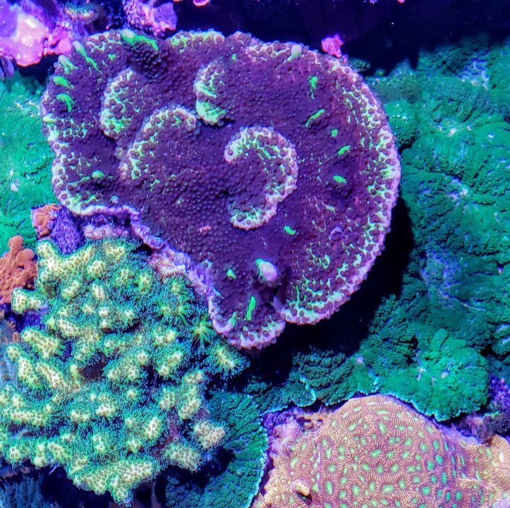 20191203_182427.jpg