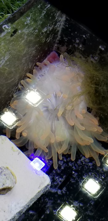 20191211_203435.jpg
