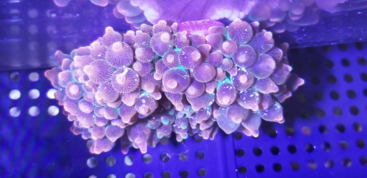 20191220_142938.jpg
