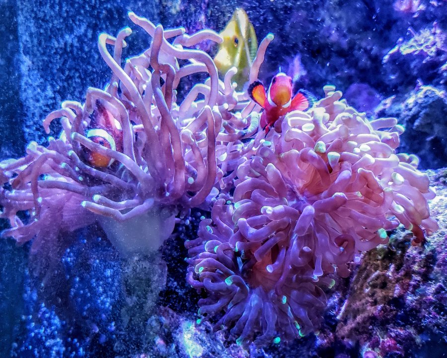 20191226_132919.jpg