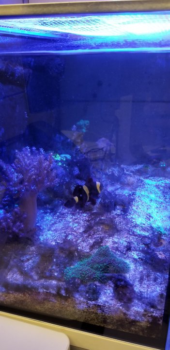 20200126_182413.jpg