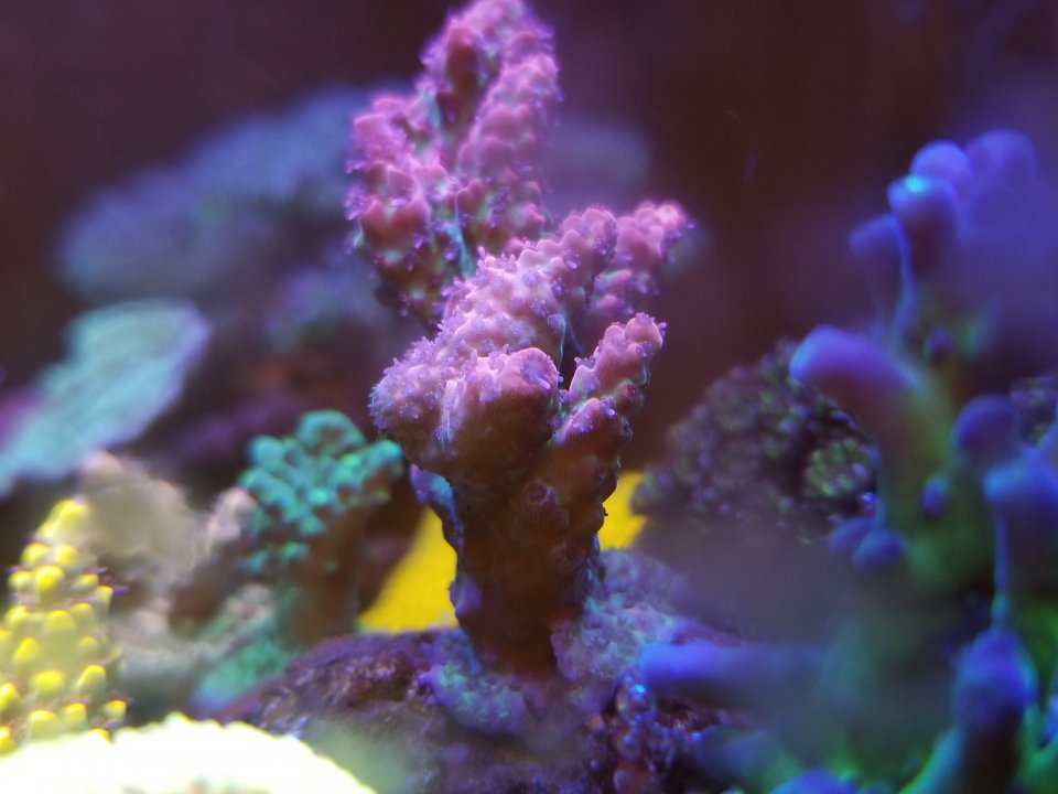 20200506_001927.jpg