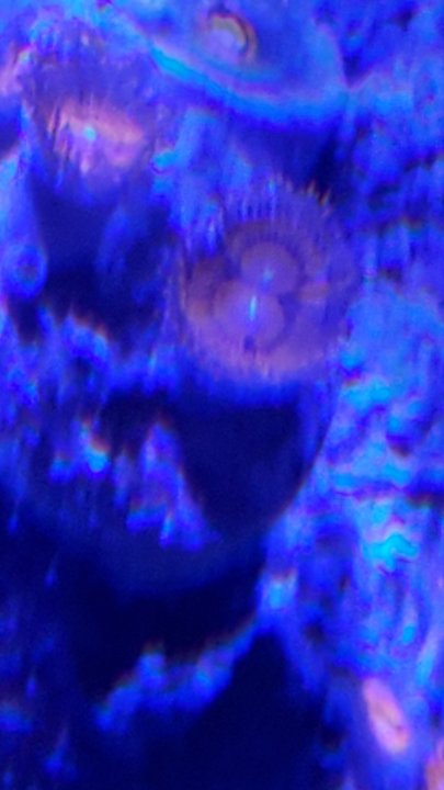 20200520_113407.jpg