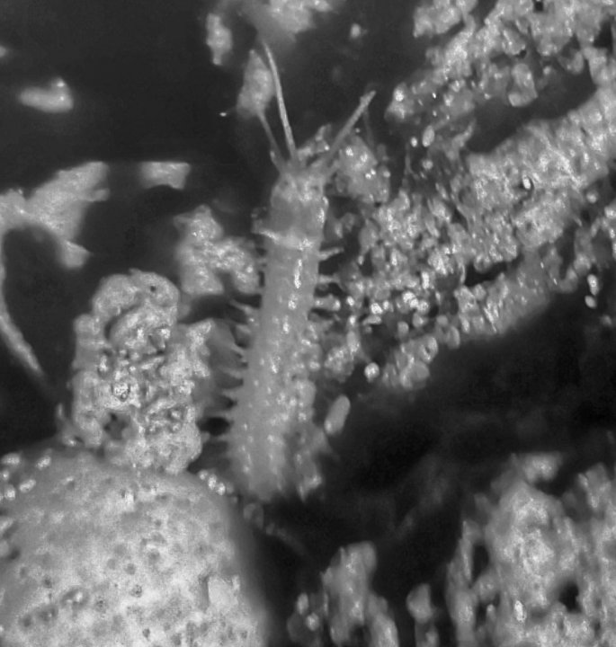 20200529_065251-01.jpeg