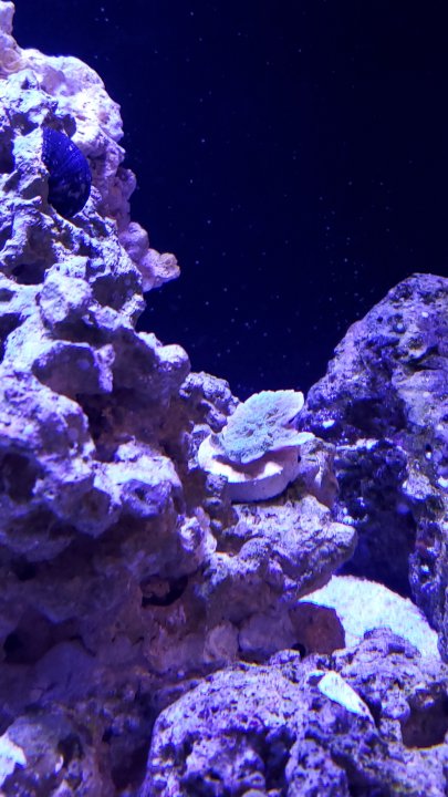 20200606_195956.jpg