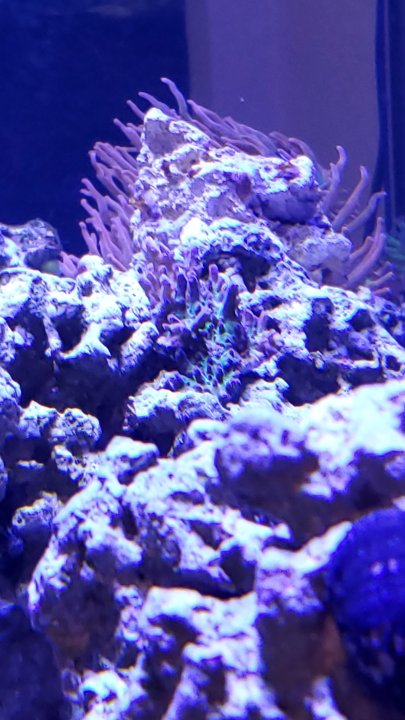 20200606_200127.jpg