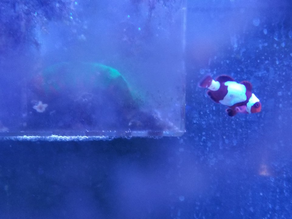 20200702_190750.jpg