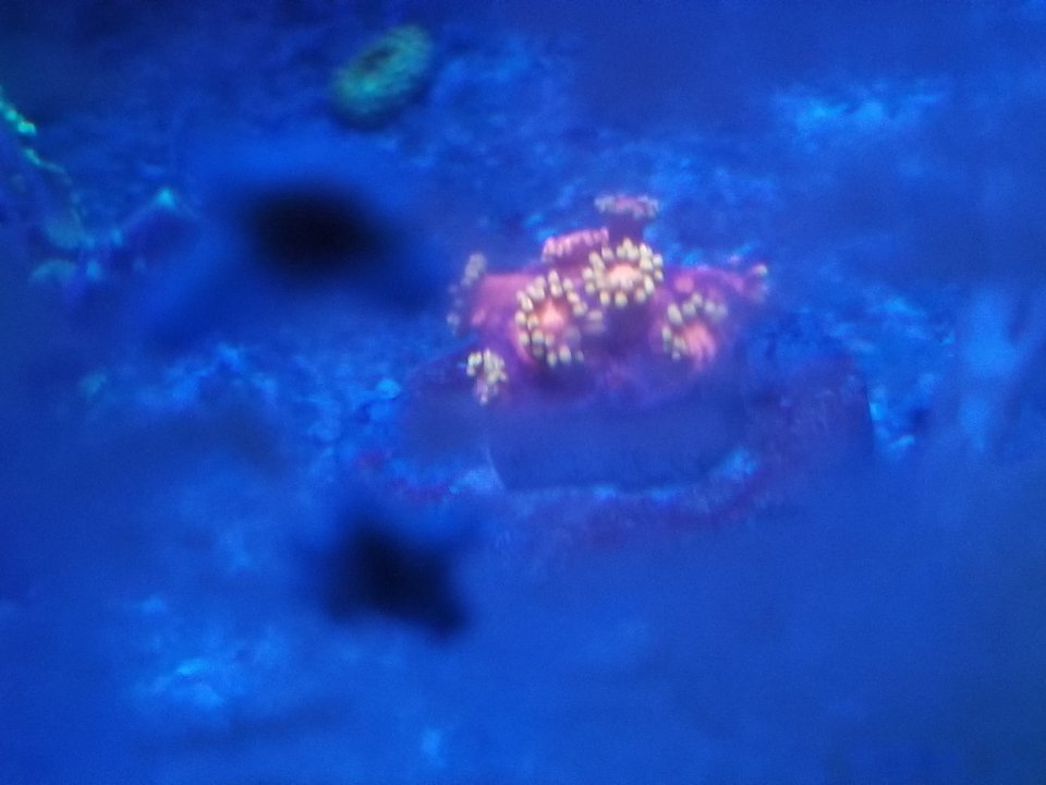 20200710_215705.jpg