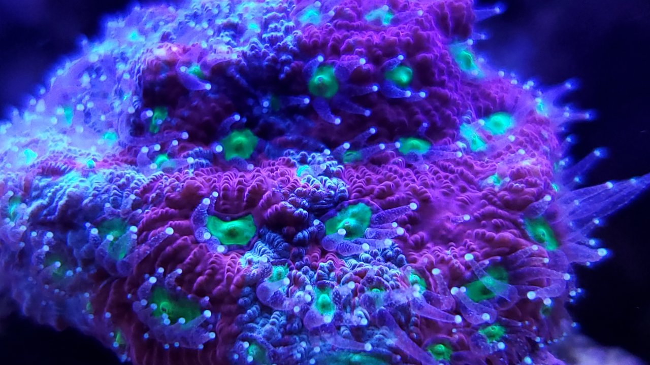 20200713_204952.jpg