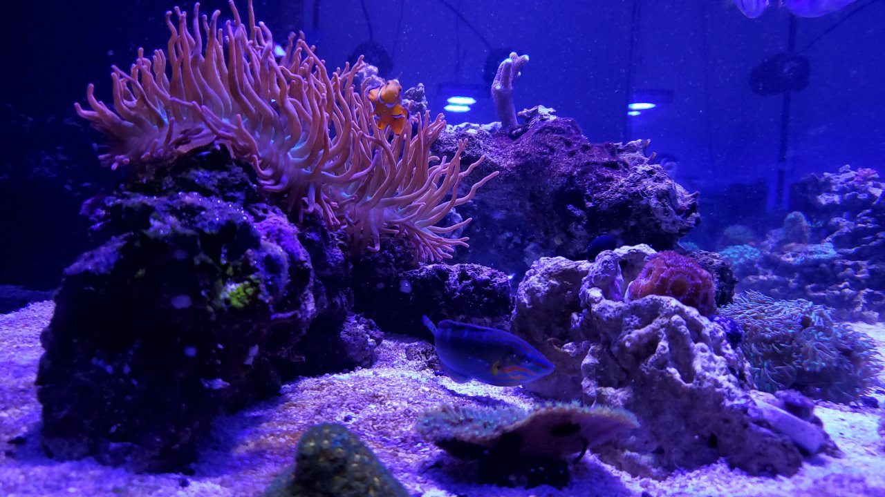 20200714_205640.jpg