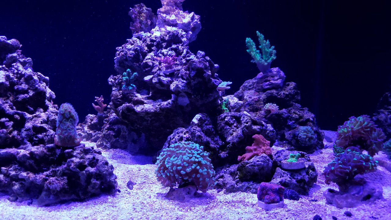 20200714_210144.jpg
