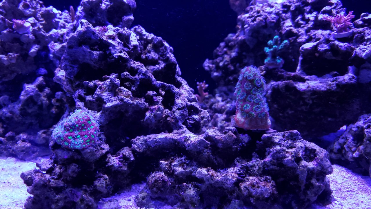 20200714_210208.jpg