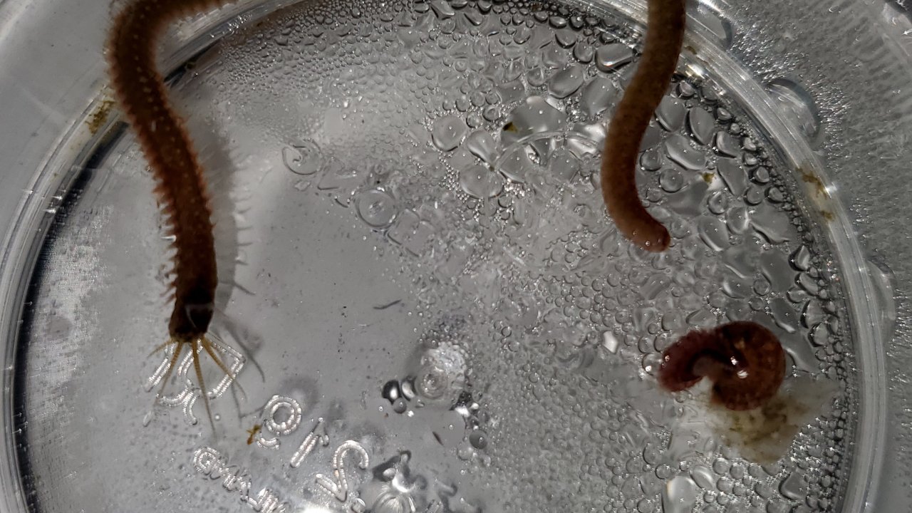 20200721_221344.jpg