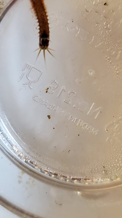 20200721_221438.jpg