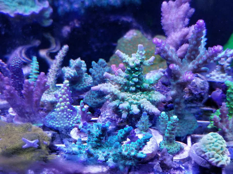 20200724_112146.jpg
