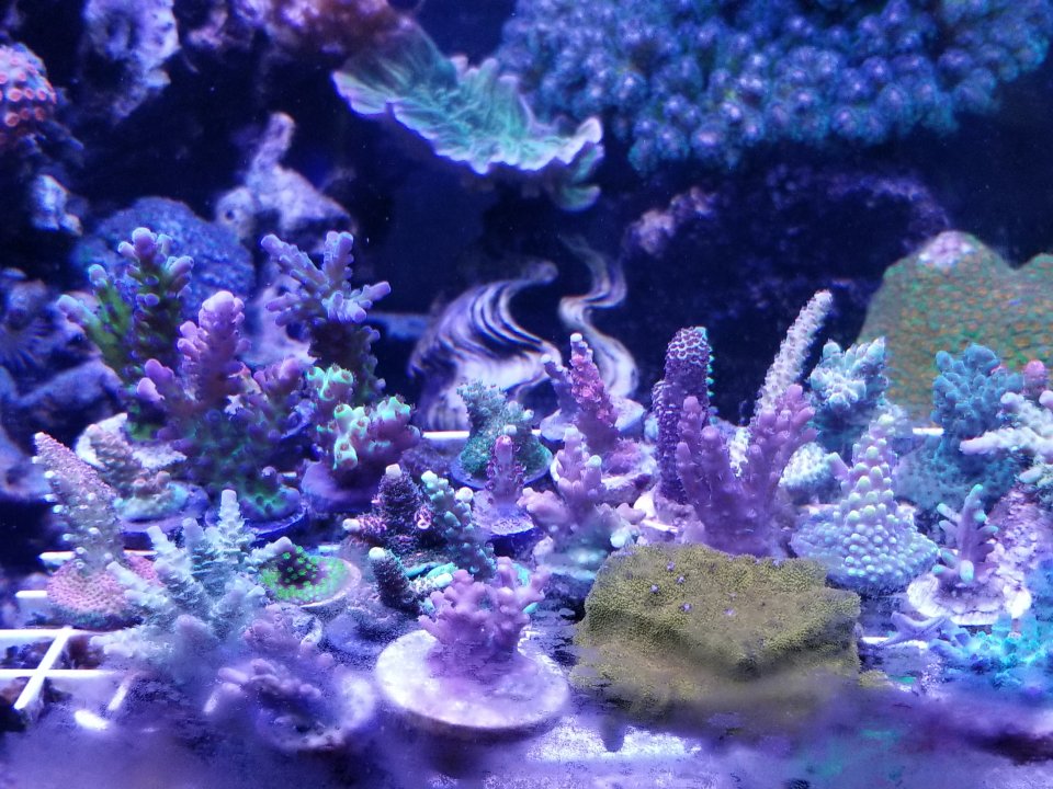 20200724_112157.jpg