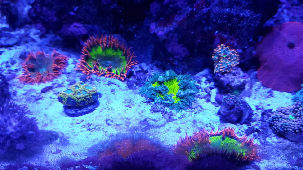 20200724_112513.jpg