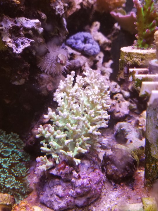 20200724_174540.jpg