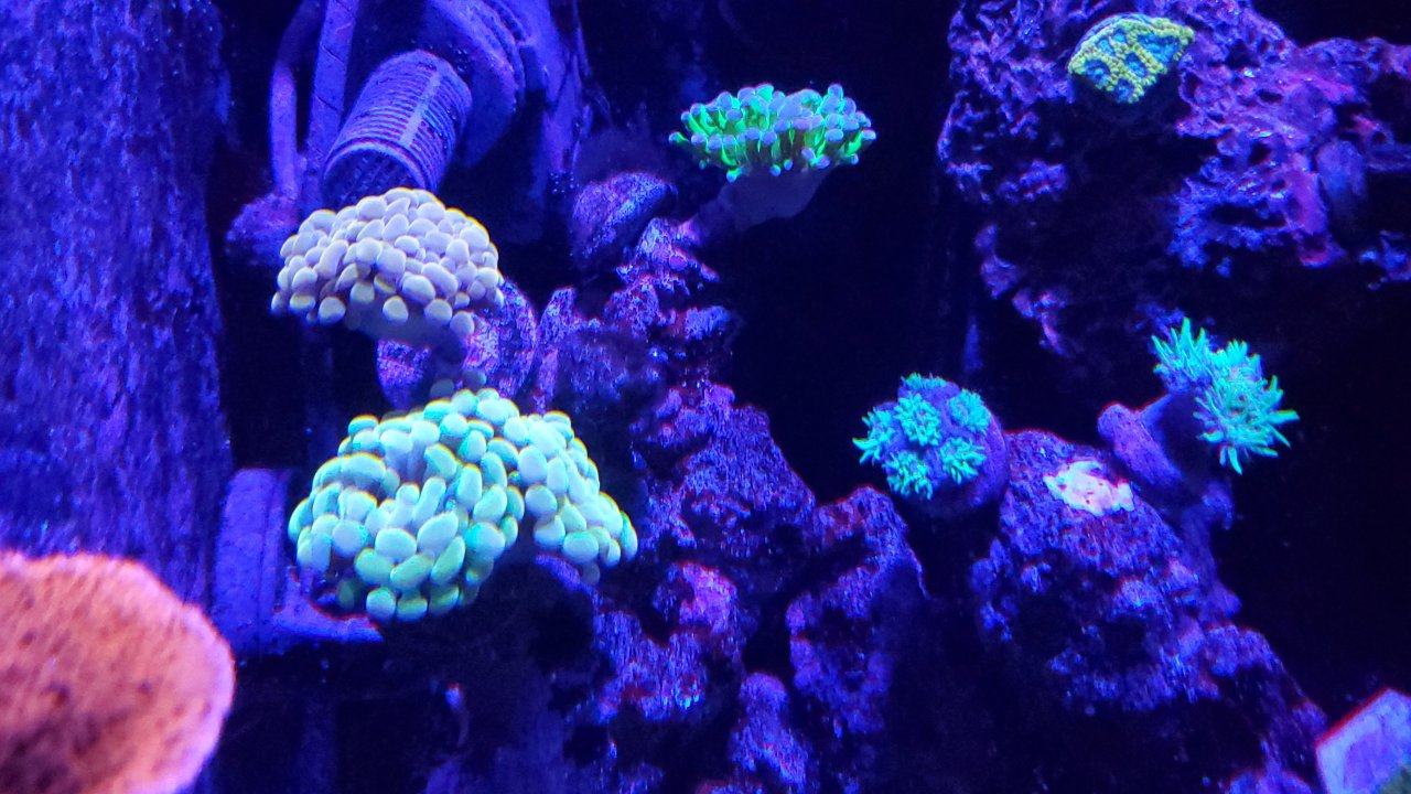 20200725_215856.jpg
