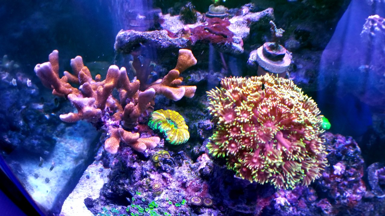 20200730_205549.jpg