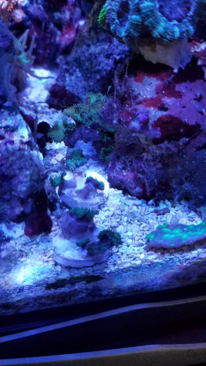 20200805_161849.jpg