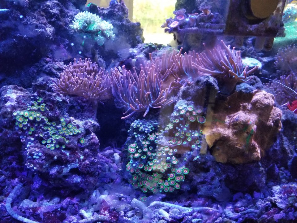 20200814_094620.jpg