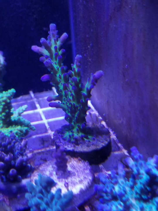 20200816_233221.jpg